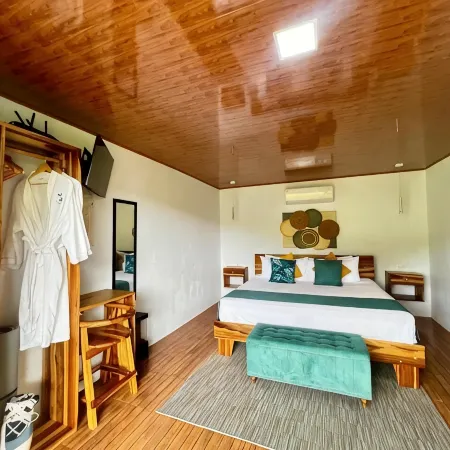 Villa Arenal 1
