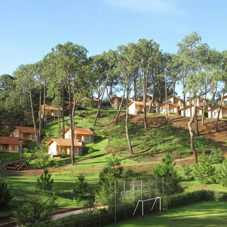 Bosque Escondido