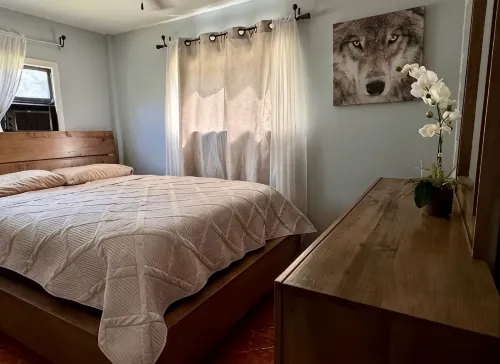 Juanita’s Cabin , a Peaceful cabin in Central Florida. IG:@JUANITASCABIN - Hytter