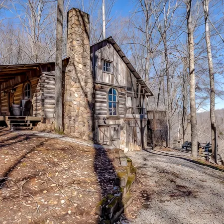 2 Cabins + Treehouse 50 Acres, FirePit, Sauna, Cold Plunge, Hot Tub, Petting Zoo