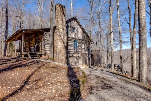 2 Cabins + Treehouse 50 Acres, FirePit, Sauna, Cold Plunge, Hot Tub, Petting Zoo - WiFi