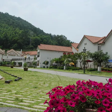 Meta Pension, DamYang