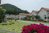 Meta Pension, DamYang - 3 ดาว