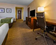 Comfort Inn & Suites - Pet friendly