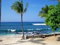 2 Bedroom 2 Bath Upgraded Oceanfront Penthouse - ビーチサイド