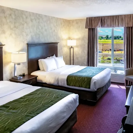 Comfort Inn & Suites