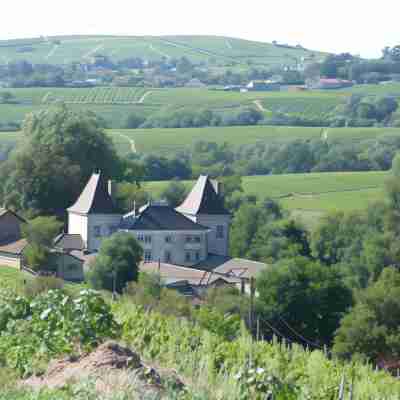 Logis Hôtel Des Grands Vins Hotel Exterior