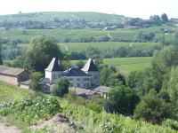 Logis Hotel des Grands Vins Hotel a Fleurie