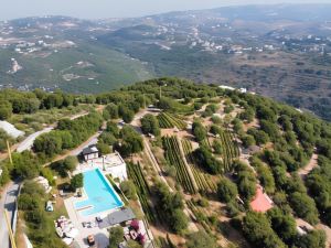 Abdelli Terraces