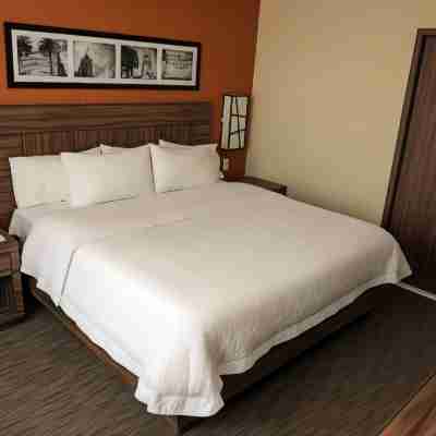 Hampton Inn by Hilton Irapuato Rooms