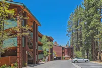 Snow Lake Lodge Hotels near Pine Knot Village