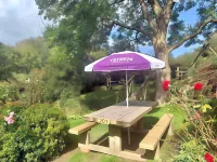 The Hoops Inn & Country Hotel Hotels in Torridge District
