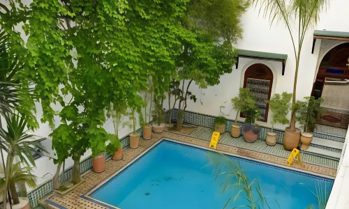 Riad El Yacout