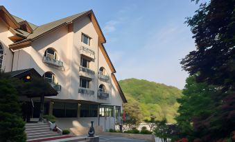 a large building with balconies and a mountainous landscape in the background , under a clear blue sky at Hotel Chalet