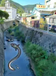 Amami Guest House Showa-so