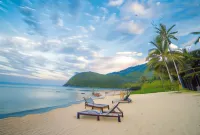 1511 Coconut Grove Hotels in Rompin