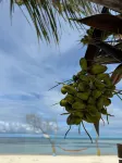 Noorani Retreat Dhiffushi