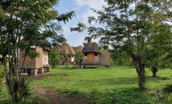 Songbird Safari Lodge & Campsite