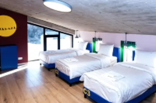 Paliani Hostel Hotels in 