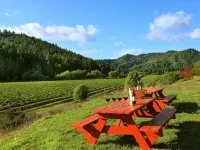West Sonoma Inn & Spa Hotels in Guerneville