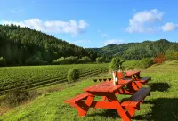 West Sonoma Inn & Spa Hotel a Jenner