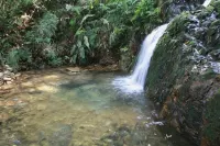 Pousada Ilha do Itacolomi - ติดทะเล