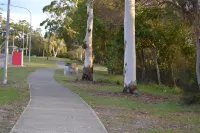 Calico Court Motel Hotels in Tweed Heads South
