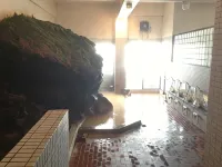 Ryounkaku - Hot Springs