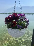 Lakes and Peaks