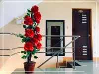 Lcf - BB Hotel Hotel di Romblon