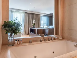 帕拉西奧都豪 - 布宜諾斯艾利斯柏悦酒店