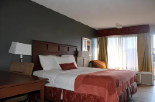 La Vista Inn Hotels in Bayonet Point