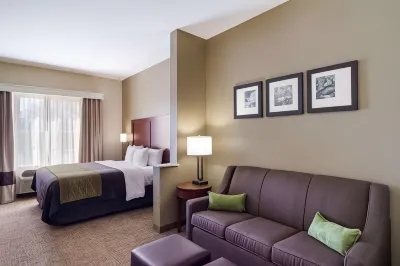 Comfort Inn Blackshear Hwy 84 Hotels near Kroger
