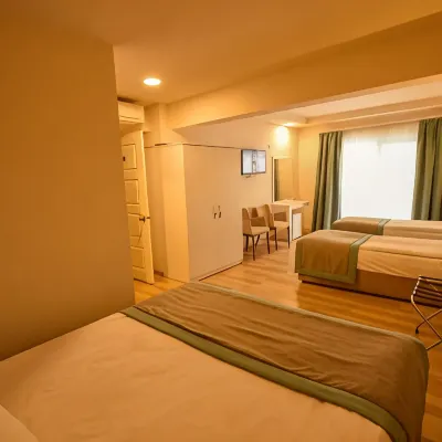 باريون هاوس هوتل Hotels near تمثال طروادة