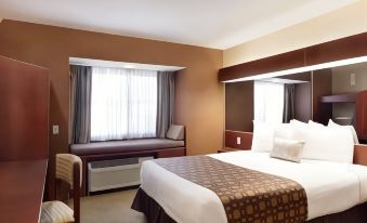 Microtel Inn & Suites by Wyndham Dover