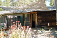 Charming 1-bedroom Cabin in the Forest Nevada City with AC, WiFi - Hytter