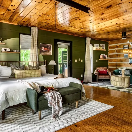 DisconnectToReconnect • Sauna • Stars • Dog-Friendly • 7 Mins to Pigeon Forge