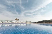 Nest Hotel, a Member of Design Hotels - Rooftop Pools