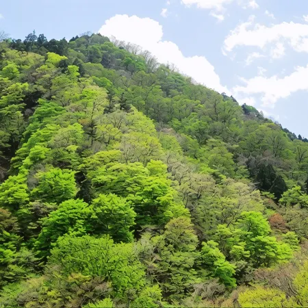 Nikko Senhime Monogatari
