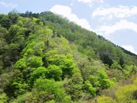 Nikko Senhime Monogatari - Mountain view