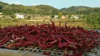 Tianpu Hanji Farmhouse Cuisine