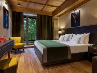 Ana Hotels Bradul Poiana Brasov Hotels near Lupului