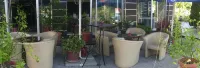 Hotel Gold Dooel Gmbh - Pet friendly