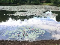 Pond View Cottage Hotels in Buckingham Township