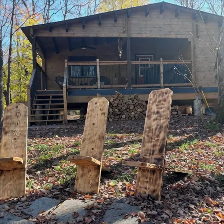 Riverside cabin in the woods