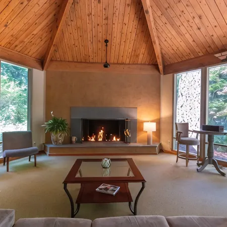 Bridle Trails Treehouse