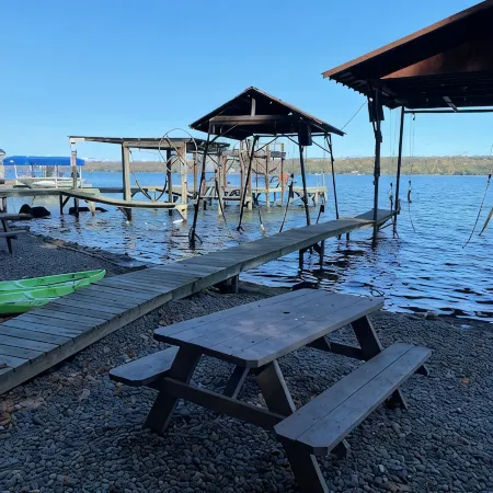 Spotted Sandpiper - Cabin #3