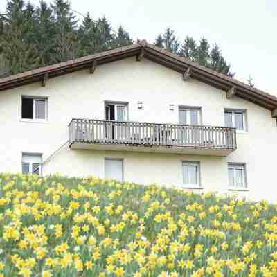 Chalet du Tremplin Gerardmer, Chalet du Tremplin Hotel Exterior