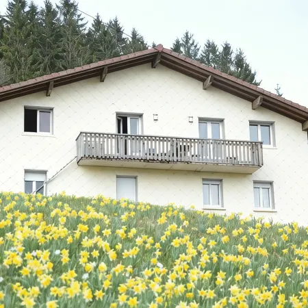 Chalet du Tremplin Gerardmer, Chalet du Tremplin