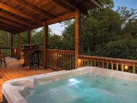 Shenandoah Mountain Majesty Log Cabin on 15 Acres - Hot Tub-1GB Fiber Internet Hotels in Greene County